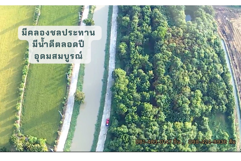 For SaleLandSuphan Buri : 💥More than worth it, land with forest garden, 7 rai 3 ngan over Ban Rang Hang Ma, Plai Na Subdistrict, Si Prachan District, Suphan Buri Province, next to the road, next to a public canal, has water all year round.