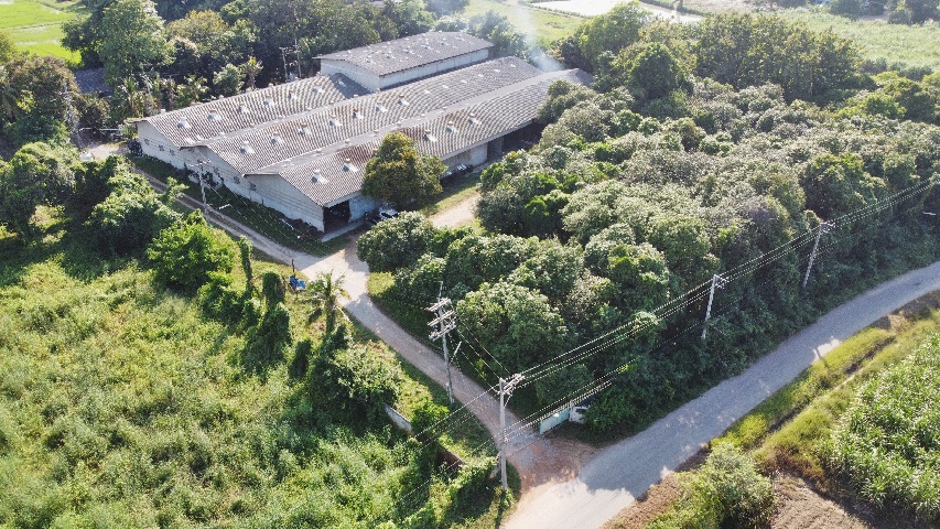 For SaleLandNakhon Pathom : Land for sale in Nakhon Pathom city Complete with sack production business, 8-1-78.9 rai, good location, convenient travel.