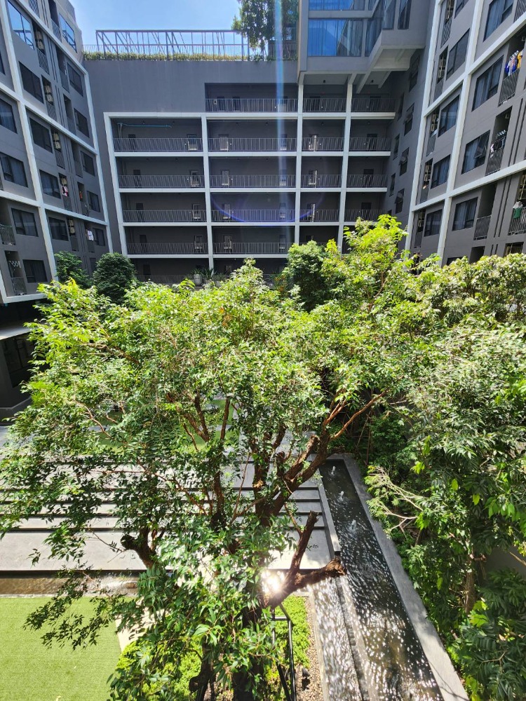 ขายคอนโดปิ่นเกล้า จรัญสนิทวงศ์ : ขายด่วน!! คอนโด 1 ห้องนอน | ชีวาทัย ปิ่นเกล้า | เลขที่ 59/8 / ชั้น 3 ขนาด 29 ตร.ม.