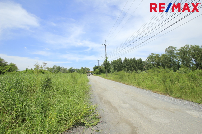 ขายที่ดินฉะเชิงเทรา : ขายที่ดินสนามกอล์ฟบางปะกงริเวอร์ไซด์คันทรีคลับ 502 ตร.ว ถนนเมน สร้างบ้าน เรือนรับรอง ใกล้แม่น้ำบางปะกง ราคาพิเศษ