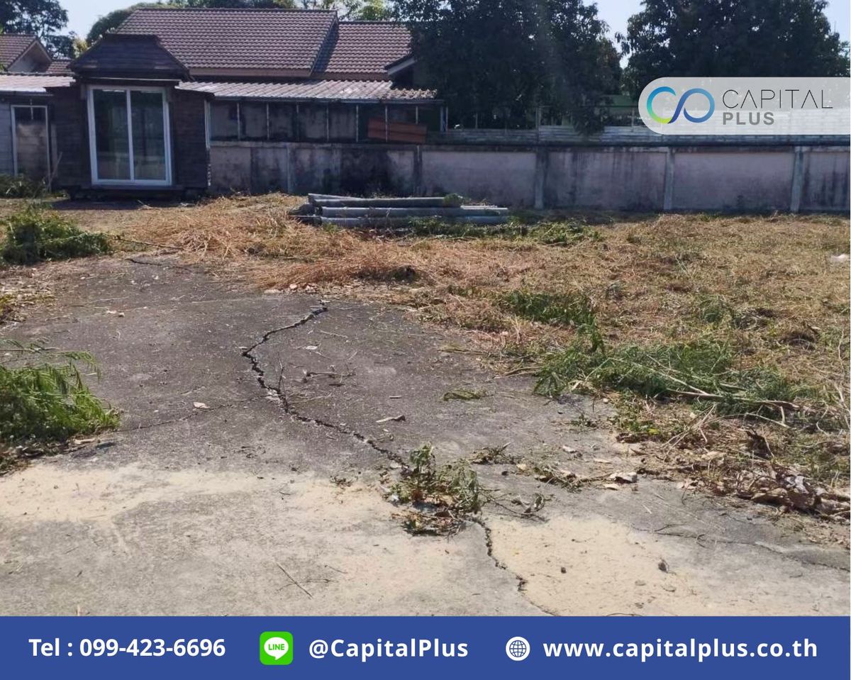 For SaleLandPathum Thani,Rangsit, Thammasat : Land for sale in Lat Lum Kaeo, 123 sq m. Land for sale in Wanasiri Village.