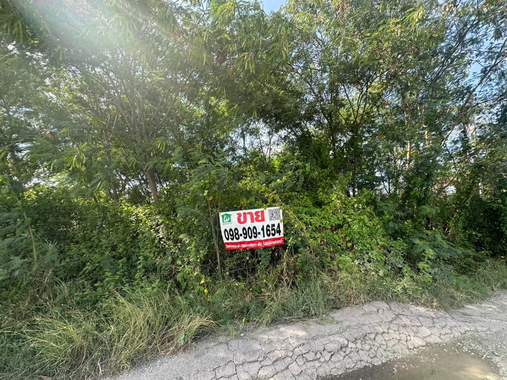 ขายที่ดินฉะเชิงเทรา : ขายที่ดินสวย ถมแล้ว ซอยบางขวัญ 3  เมืองฉะเชืงเทรา