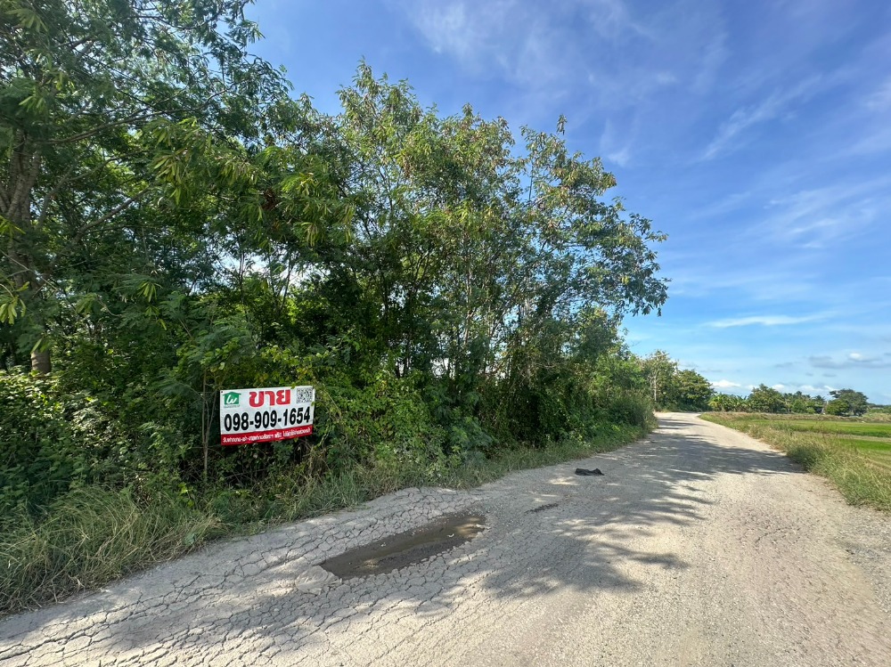 ขายที่ดินฉะเชิงเทรา : ขายที่ดินสวย ถมแล้ว ซอยบางขวัญ 3  เมืองฉะเชืงเทรา