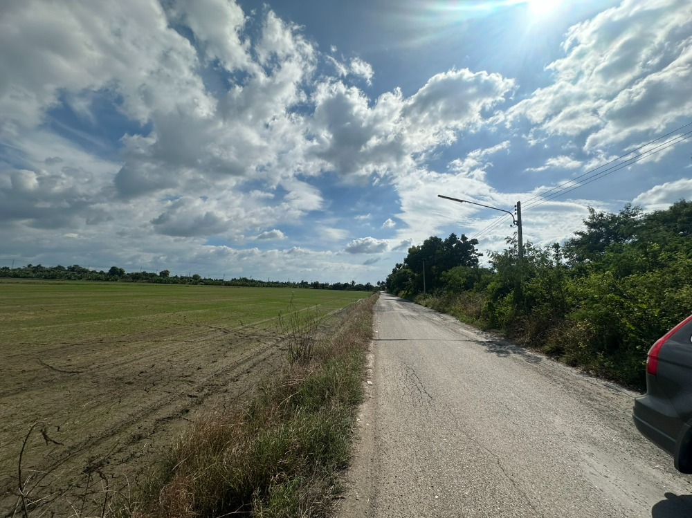 ขายที่ดินฉะเชิงเทรา : ขายที่ดินสวย ถมแล้ว ซอยบางขวัญ 3  เมืองฉะเชืงเทรา