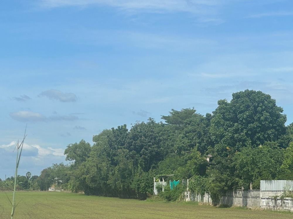 ขายที่ดินฉะเชิงเทรา : ขายที่ดินสวย ถมแล้ว ซอยบางขวัญ 3  เมืองฉะเชืงเทรา