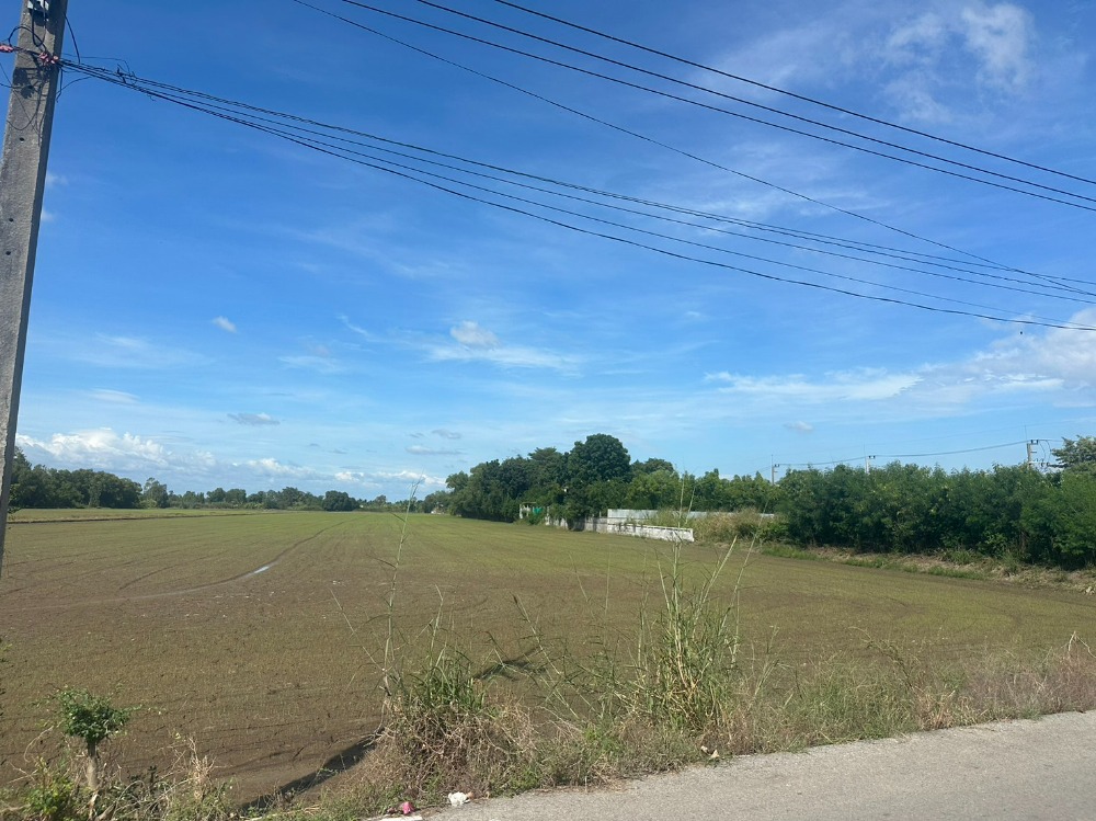 ขายที่ดินฉะเชิงเทรา : ขายที่ดินสวย ถมแล้ว ซอยบางขวัญ 3  เมืองฉะเชืงเทรา