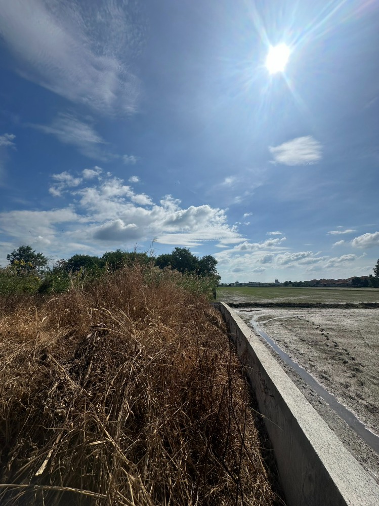 ขายที่ดินฉะเชิงเทรา : ขายที่ดินสวย ถมแล้ว ซอยบางขวัญ 3  เมืองฉะเชืงเทรา