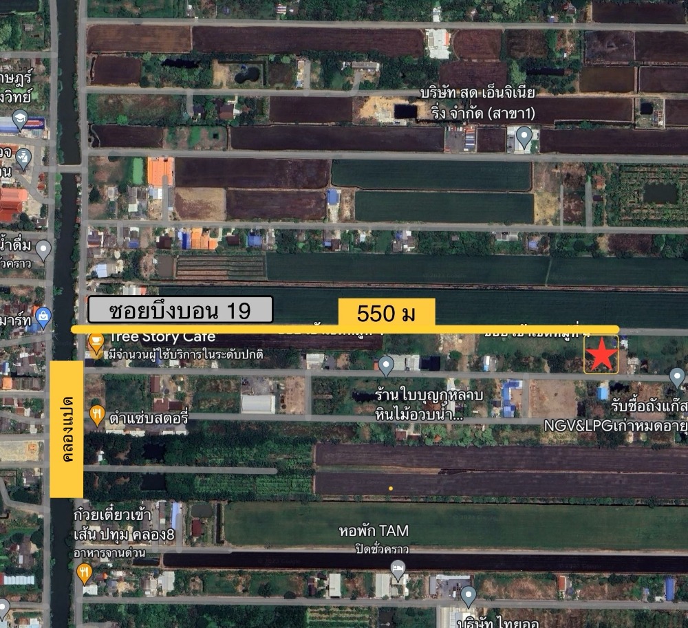 ขายที่ดินปทุมธานี รังสิต ธรรมศาสตร์ : ขาย ที่ดินเปล่า  100   ตรว.  บึงบอน 19  หนองเสือ ถนน เลียบคอล 8  เหมาะกับการปลูกบ้าน  ใกล้ถนนรังสิต-นครนายก  ราคาดีที่สุด590,000  ปรับราคาพิเศษ ด่วนค่ะ