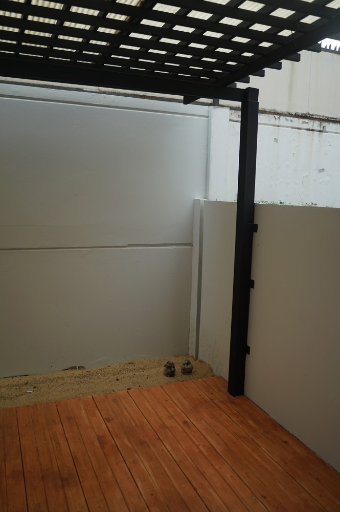 ขายทาวน์โฮมนวมินทร์ รามอินทรา : ใช้ชีวิตง่ายขึ้น ทาวน์โฮมใกล้รถไฟฟ้า🔥 เดอะ เทอเรส รามอินทรา 65 / 3 ห้องนอน (ขาย), The Terrace Ramintra 65 / 3 Bedrooms (FOR SALE) TAN528