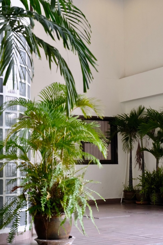 For RentTownhomeSathorn, Narathiwat : 5-STO Townhouse in Compound shared Pool around BTS Chong Nonsi with 5 bedrooms 6 bathrooms, maid room split level about 450 sq m. 2 parking