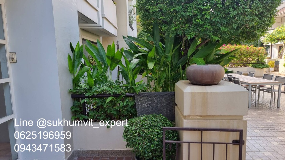 For SaleTownhomeSukhumvit, Asoke, Thonglor : 4-story townhome with rooftop, Soi Ekamai, land size 24 sq wah, usable area 270 sq m, has a swimming pool, beautiful view, calm, shady, good direction, not hot.