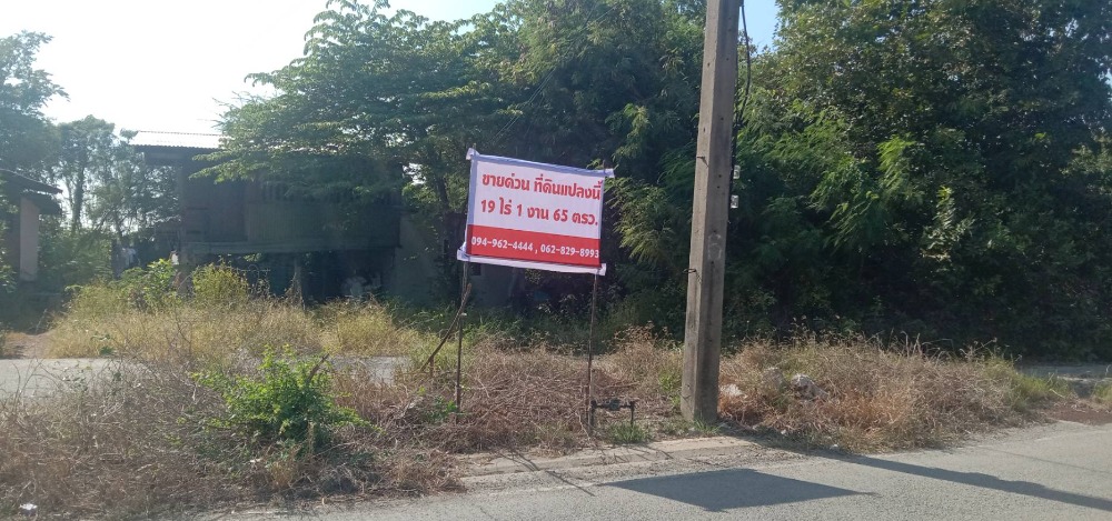 For SaleLandPathum Thani,Rangsit, Thammasat : Selling cheap land, golden location Very good atmosphere, size 19.41 rai, Lat Lum Kaeo, Pathum Thani Near the market for a hundred years Suitable for building a house, dividing the plot Build warehouses or other businesses