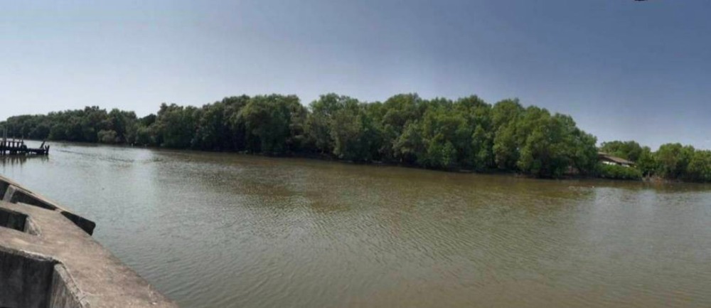 ขายที่ดินสมุทรปราการ สำโรง : ขายที่ดิน คลองด่าน บางบ่อ สมุทรปราการ เนื้อที่ 2-0-68 ไร่ 10.42 ลบ.