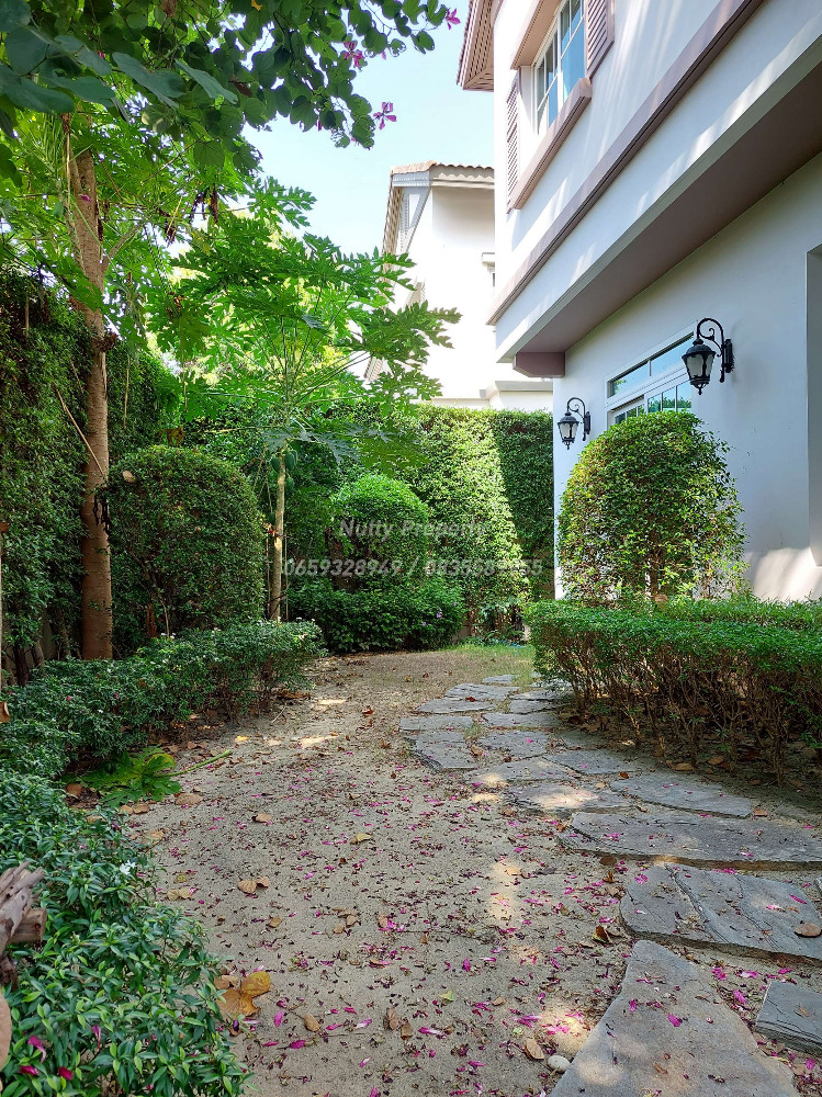 ให้เช่าบ้านบางนา แบริ่ง ลาซาล : ให้เช่า นันทวัน บางนา กม.7 แปลงมุม