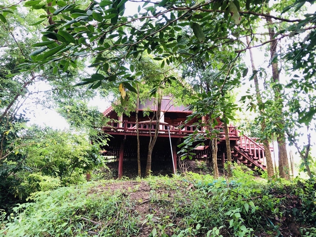 ขายที่ดินราชบุรี : ขายที่ดิน 215 ตรว. พร้อมบ้านเดี่ยว ริมแม่น้ำแม่กลอง แนวรีสอร์ท โพธาราม ราชบุรี ร่มรื่นบรรยากาศดี เหมาะพักผ่อน