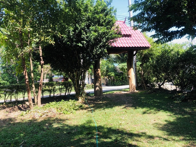 ขายที่ดินราชบุรี : ขายที่ดิน 215 ตรว. พร้อมบ้านเดี่ยว ริมแม่น้ำแม่กลอง แนวรีสอร์ท โพธาราม ราชบุรี ร่มรื่นบรรยากาศดี เหมาะพักผ่อน