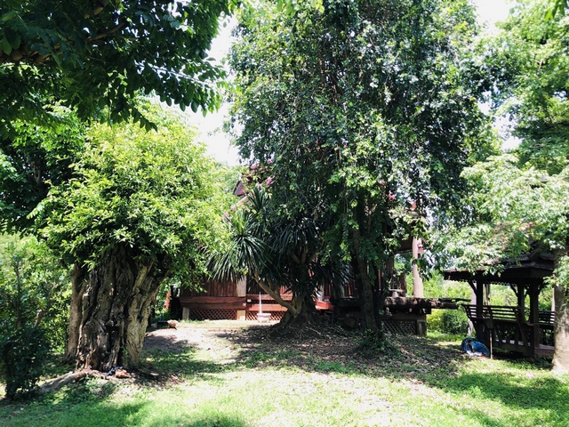 ขายที่ดินราชบุรี : ขายที่ดิน 215 ตรว. พร้อมบ้านเดี่ยว ริมแม่น้ำแม่กลอง แนวรีสอร์ท โพธาราม ราชบุรี ร่มรื่นบรรยากาศดี เหมาะพักผ่อน