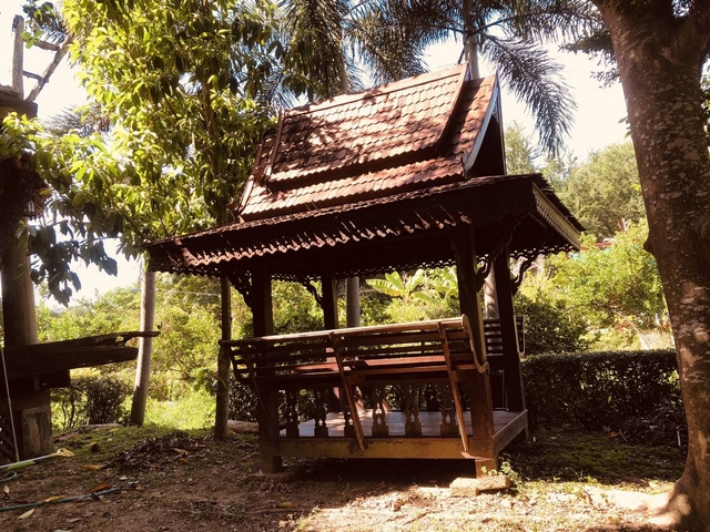 ขายที่ดินราชบุรี : ขายที่ดิน 215 ตรว. พร้อมบ้านเดี่ยว ริมแม่น้ำแม่กลอง แนวรีสอร์ท โพธาราม ราชบุรี ร่มรื่นบรรยากาศดี เหมาะพักผ่อน