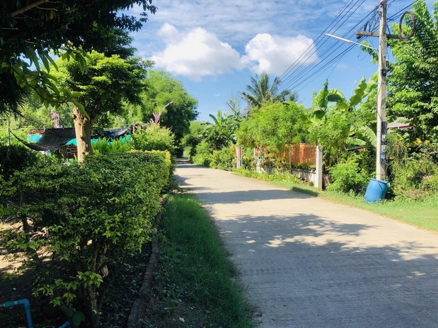 ขายที่ดินราชบุรี : ขายที่ดิน 215 ตรว. พร้อมบ้านเดี่ยว ริมแม่น้ำแม่กลอง แนวรีสอร์ท โพธาราม ราชบุรี ร่มรื่นบรรยากาศดี เหมาะพักผ่อน