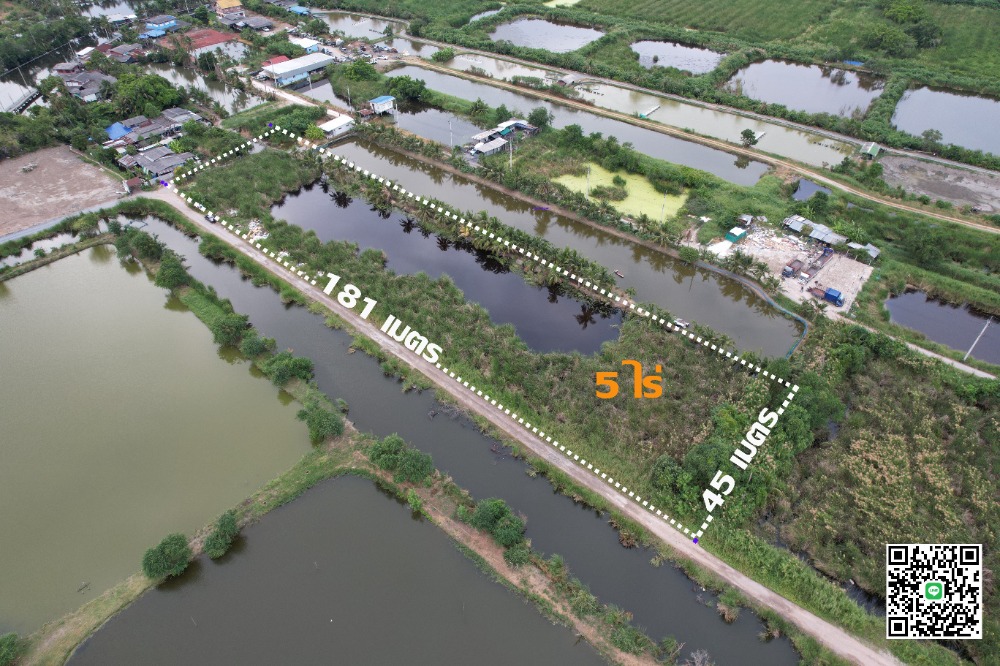 ขายที่ดินราษฎร์บูรณะ สุขสวัสดิ์ : ขายที่ดินบ้านคลองสวน 5 ไร่ ประชาอุทิศ 76 ทุ่งครุ ราษฏร์บูรณะ ราคาดี