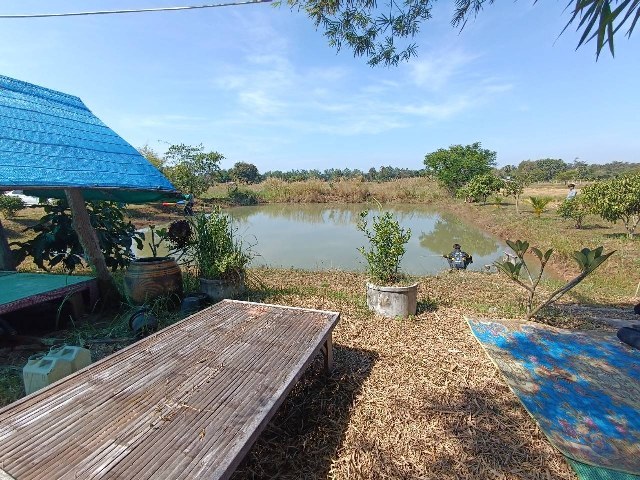 ขายที่ดินขอนแก่น : ขายที่ดิน เนื้อที่ขนาด 1ไร่. ห่างจากตัวเมืองขอนแก่นเพียง 16 กม. บรรยากาศดี  เหมาะกับทำบ้านพัก การสวนเกษตร ต.บ้านทุ่ม อ.เมือง จ.ขอนแก่น