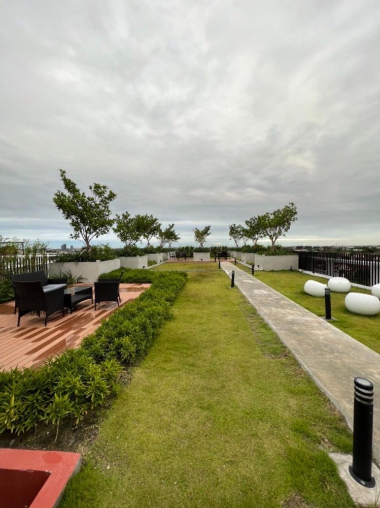 For RentCondoSamut Prakan,Samrong : For rent: The Cube Loft Srinakarin-Theparak, beautiful room, morning sun, fully furnished, ready to move in.