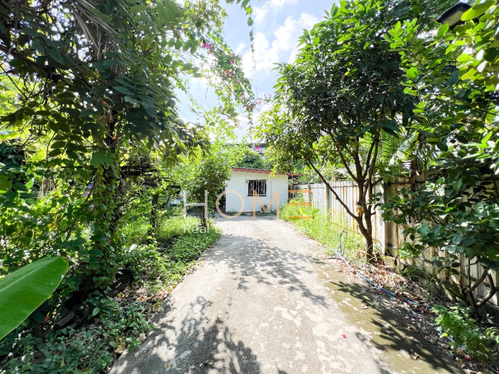 ขายที่ดินอ่อนนุช อุดมสุข : ที่ดินพร้อมสิ่งปลูกสร้าง ปุณณวิถี 20 / 136 ตารางวา (ขาย), Land with Building Punnawithi 20 / 544 Square Metre (FOR SALE) NONT002 