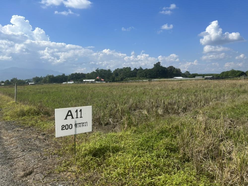 Land for sale, San Pong Subdistrict, Mae Rim District, Chiang Mai