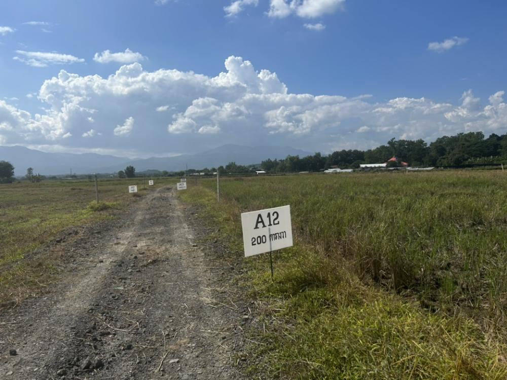 For SaleLandChiang Mai : Land for sale, San Pong Subdistrict, Mae Rim District, Chiang Mai Province, land plots for sale, beautiful mountain view, good location, near community, water, electricity, public utilities, public roads in the project, width 5-6 meters, red Garuda title 