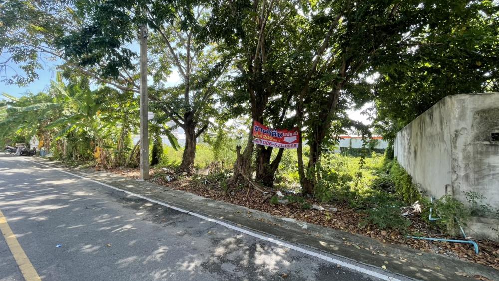 For SaleLandPathum Thani,Rangsit, Thammasat : Beautiful plot of land for sale, 200 sq m, Lam Luk Ka.