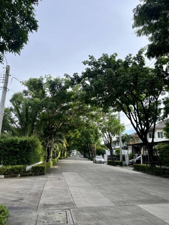 ให้เช่าบ้านนวมินทร์ รามอินทรา : ให้เช่าบ้านเดี่ยว ชัยพฤกษ์ รามอินทรา - พระยาสุเรนทร์ ใกล้ บิ๊กซี สุวินทวงศ์ เพียง 8 นาที