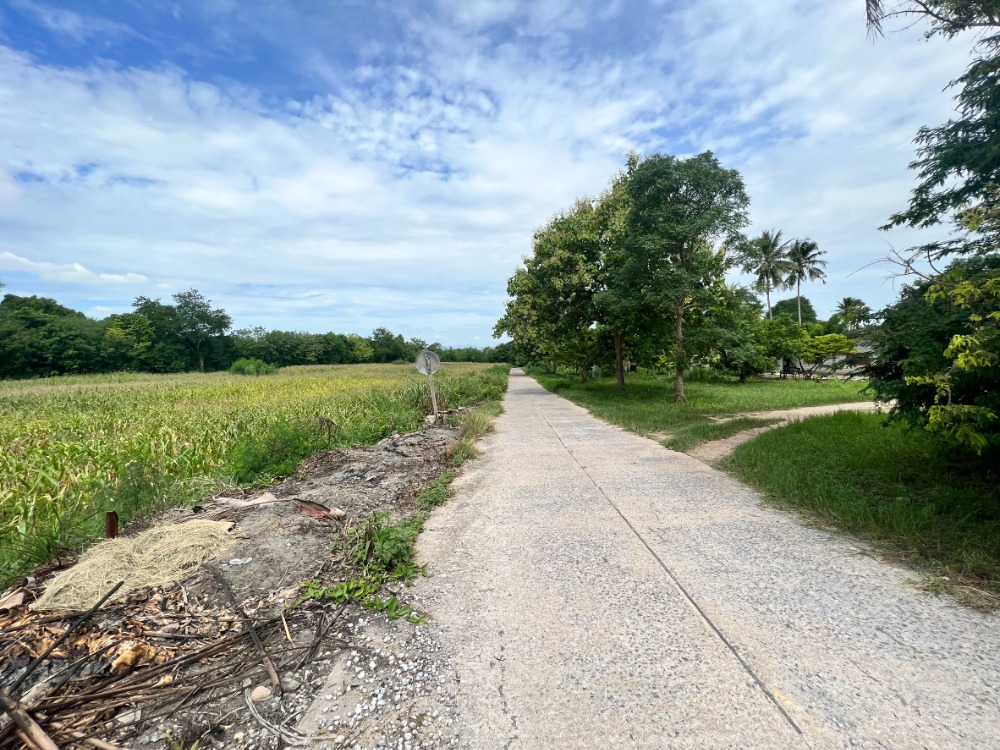 For SaleLandPak Chong KhaoYai : Urgent sale!! Land in Pak Chong, Wang Sai, 4 rai, beautiful, very good atmosphere (whole plot or divided sale, price negotiable)