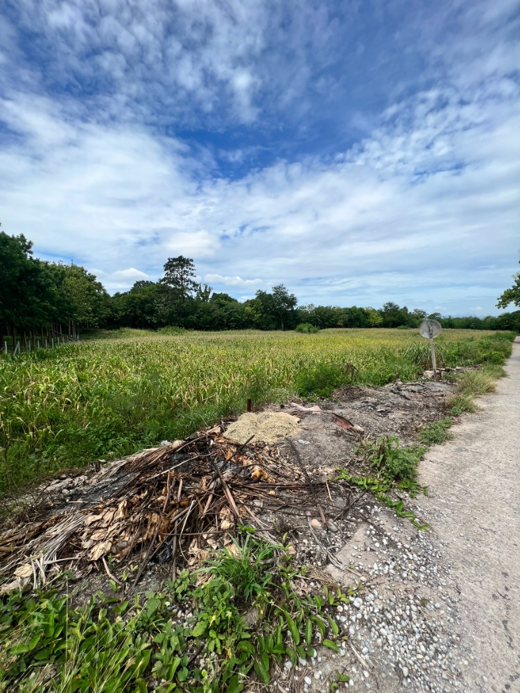 For SaleLandPak Chong KhaoYai : Urgent sale!! Land in Pak Chong, Wang Sai, 4 rai, beautiful, very good atmosphere (whole plot or divided sale, price negotiable)