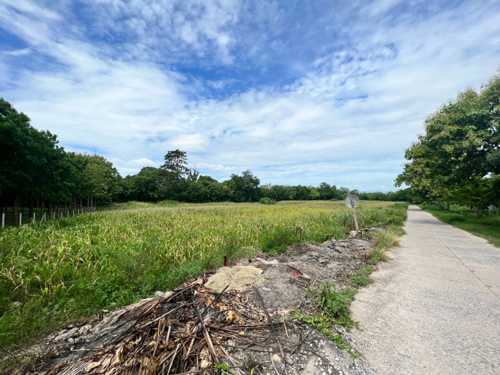 For SaleLandPak Chong KhaoYai : Urgent sale!! Land in Pak Chong, Wang Sai, 4 rai, beautiful, very good atmosphere (whole plot or divided sale, price negotiable)