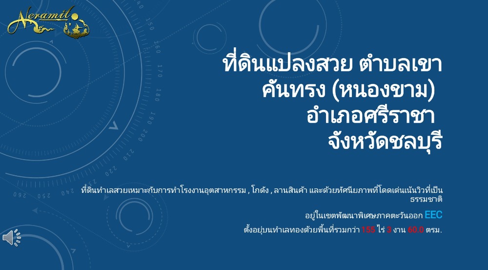 ขายที่ดินศรีราชา แหลมฉบัง บ้านบึง : ขายที่ดินคันเขาทรง ศรีราชา 155 ไร่