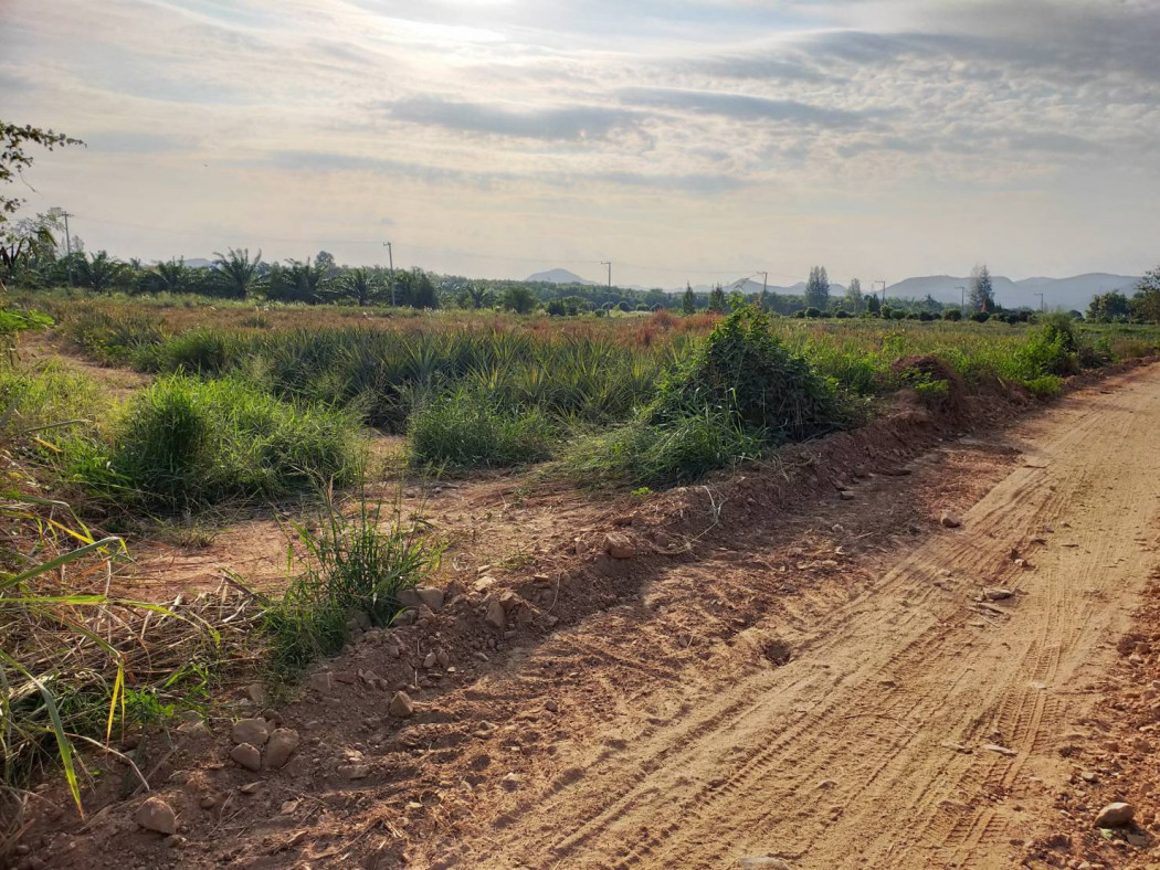 ขายที่ดินหัวหิน ประจวบคีรีขันธ์ : ขาย ที่ดิน 1-1-63 ราคาถูก  แปลงมุม วิวเขา ติดถนนเลียบคลองชลประทาน ต.ศิลาลอย อ.สามร้อยยอด จ.ประจวบคีรีขันธ์