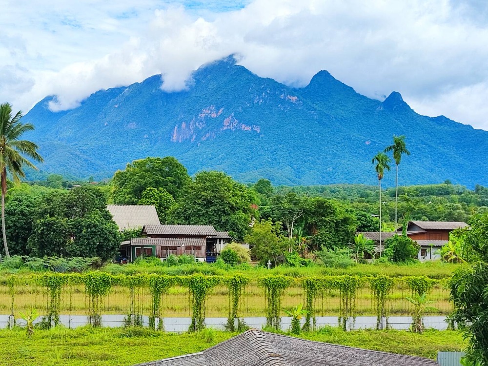 For SaleLandChiang Mai : Land for sale in Chiang Dao, 7 rai, Doi Luang view, Chiang Dao