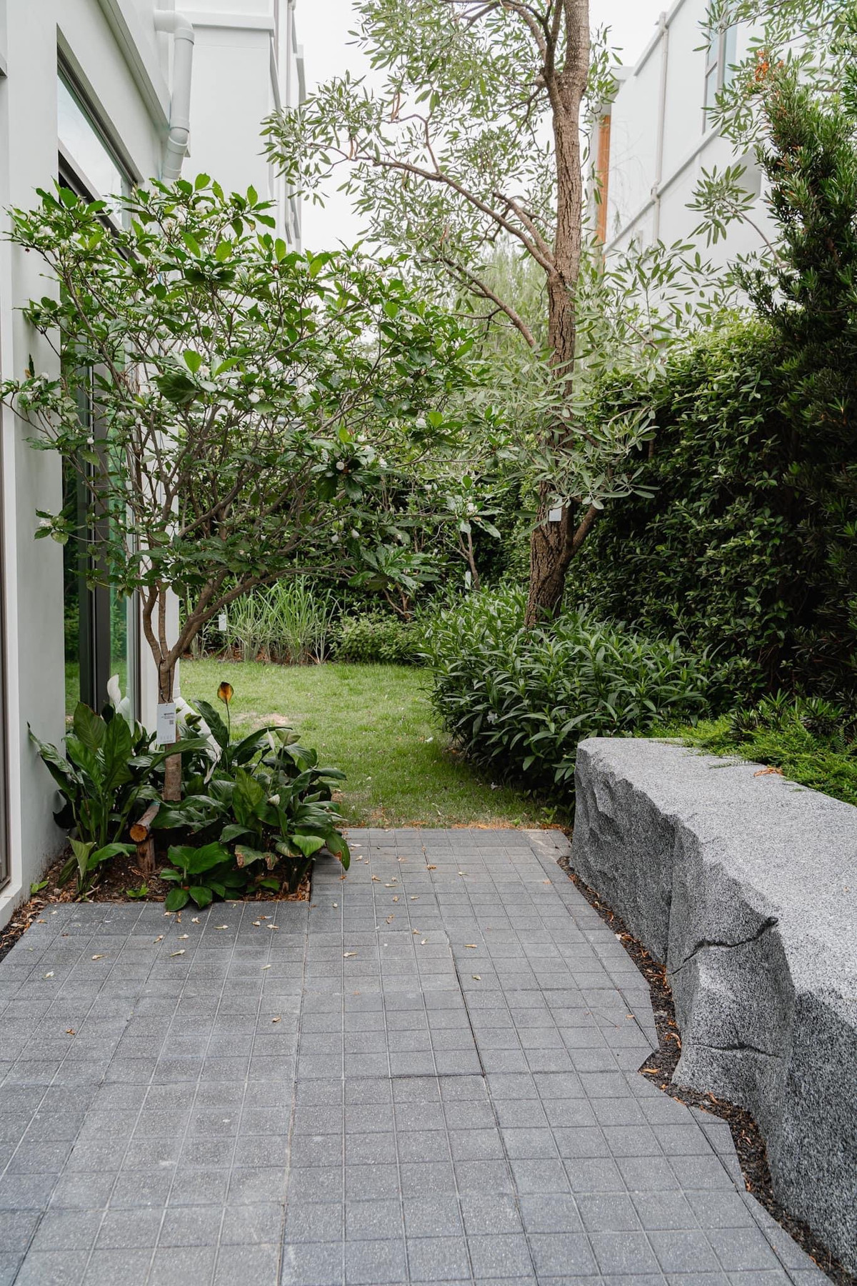 ให้เช่าบ้านพัฒนาการ ศรีนครินทร์ : ให้เช่าบ้านเดี่ยว วีเว่ พระราม 9 ติด Wellington Collage กรุงเทพกรีฑา