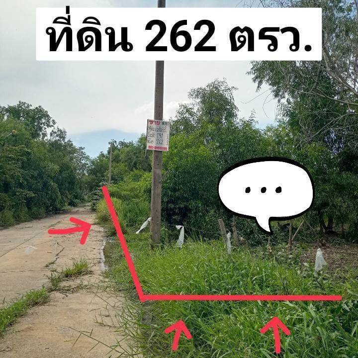 ขายที่ดินปทุมธานี รังสิต ธรรมศาสตร์ : ขายที่ดินคลองหลวง ใกล้วัดพระธรรมกาย วัดพระธรรมกาย- -ตลาดไทย ตลาดอัยรา -ใก้ลปั้มน้ำมัน -ใกล้ธนาคาร -ใกล้โรงเรียน -ใกล้แม็คโคร โลตัส -ใกล้ มหาวิทยาลัย -ทางด่วน ถนนกาญจนาภิเษก สนาบินดอนเมือง