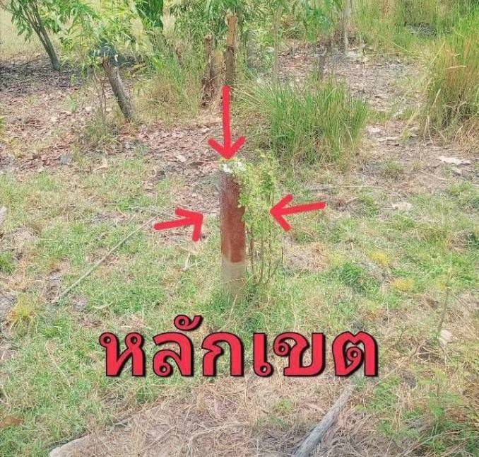ขายที่ดินปทุมธานี รังสิต ธรรมศาสตร์ : ขายที่ดินคลองหลวง ใกล้วัดพระธรรมกาย วัดพระธรรมกาย- -ตลาดไทย ตลาดอัยรา -ใก้ลปั้มน้ำมัน -ใกล้ธนาคาร -ใกล้โรงเรียน -ใกล้แม็คโคร โลตัส -ใกล้ มหาวิทยาลัย -ทางด่วน ถนนกาญจนาภิเษก สนาบินดอนเมือง