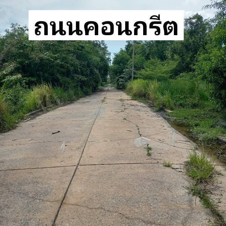 ขายที่ดินปทุมธานี รังสิต ธรรมศาสตร์ : ขายที่ดินคลองหลวง ใกล้วัดพระธรรมกาย วัดพระธรรมกาย- -ตลาดไทย ตลาดอัยรา -ใก้ลปั้มน้ำมัน -ใกล้ธนาคาร -ใกล้โรงเรียน -ใกล้แม็คโคร โลตัส -ใกล้ มหาวิทยาลัย -ทางด่วน ถนนกาญจนาภิเษก สนาบินดอนเมือง