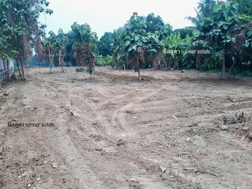 ขายที่ดินราชบุรี : ที่ดินริมแม่น้ำแม่กลอง ราชบุรี ราคาเบาๆ 7 ล้าน หน้าติดถนน หลังติดน้ำ ข้างลำคลอง ขนาด 353 ตรว