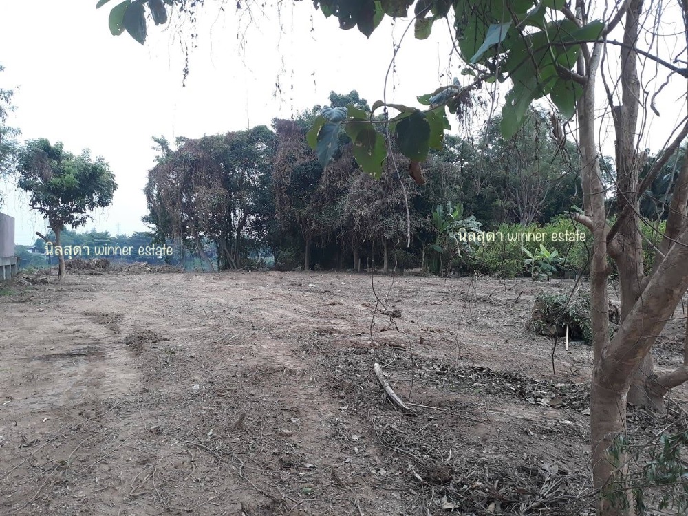 ขายที่ดินราชบุรี : ที่ดินริมแม่น้ำแม่กลอง ราชบุรี ราคาเบาๆ 7 ล้าน หน้าติดถนน หลังติดน้ำ ข้างลำคลอง ขนาด 353 ตรว