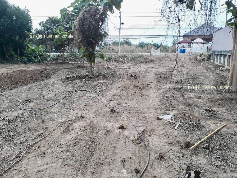 ขายที่ดินราชบุรี : ที่ดินริมแม่น้ำแม่กลอง ราชบุรี ราคาเบาๆ 7 ล้าน หน้าติดถนน หลังติดน้ำ ข้างลำคลอง ขนาด 353 ตรว