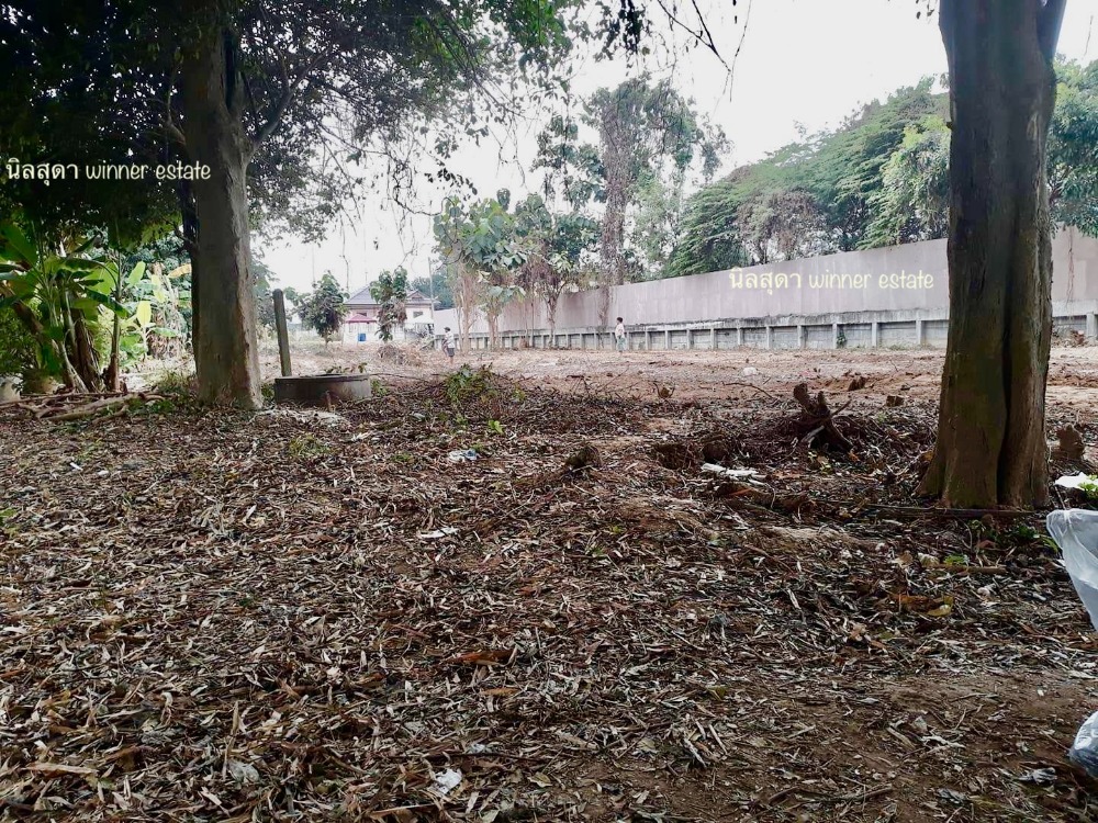 ขายที่ดินราชบุรี : ที่ดินริมแม่น้ำแม่กลอง ราชบุรี ราคาเบาๆ 7 ล้าน หน้าติดถนน หลังติดน้ำ ข้างลำคลอง ขนาด 353 ตรว