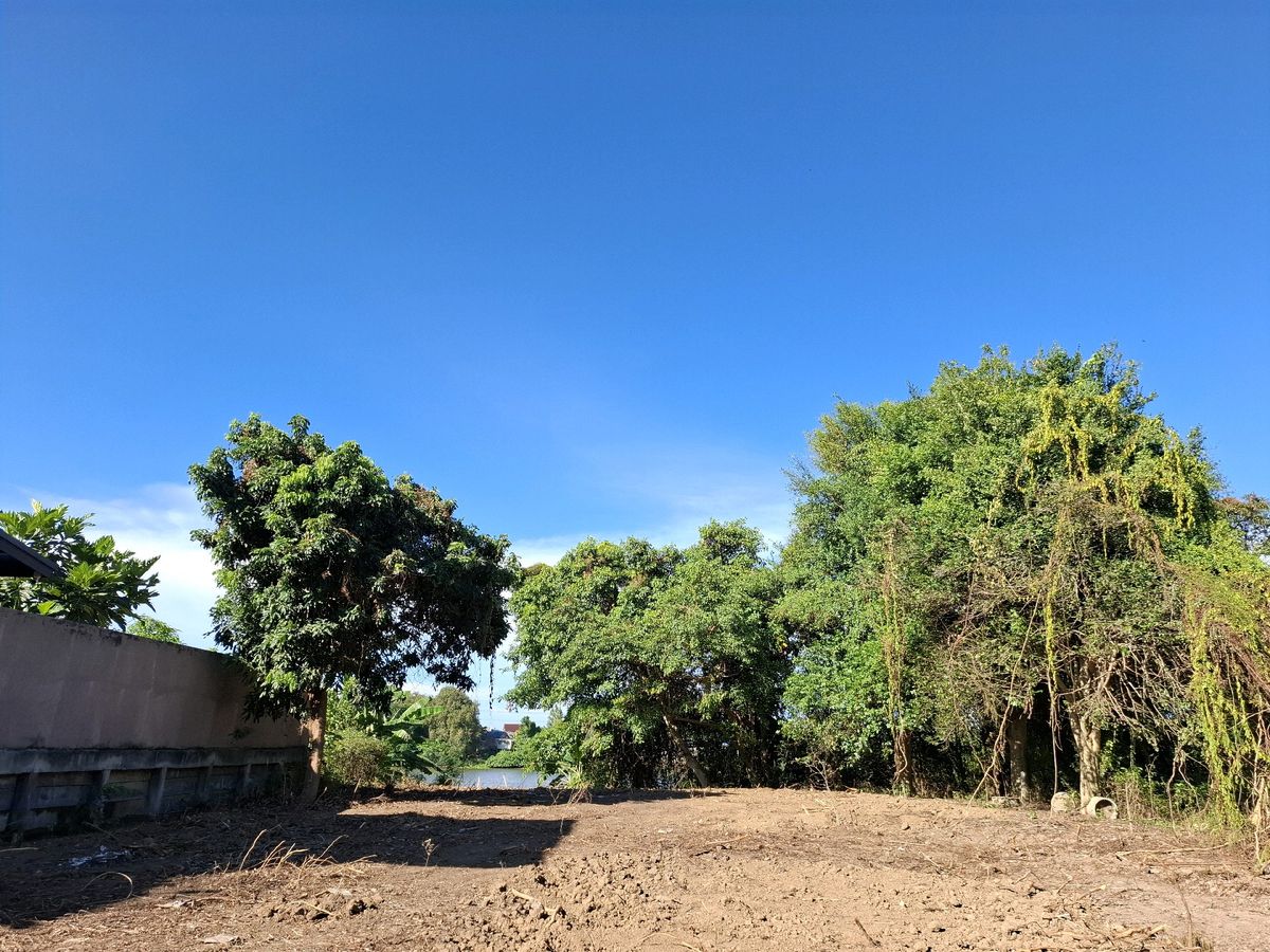 ขายที่ดินราชบุรี : ที่ดินริมแม่น้ำแม่กลอง ราชบุรี ราคาเบาๆ 7 ล้าน หน้าติดถนน หลังติดน้ำ ข้างลำคลอง ขนาด 353 ตรว