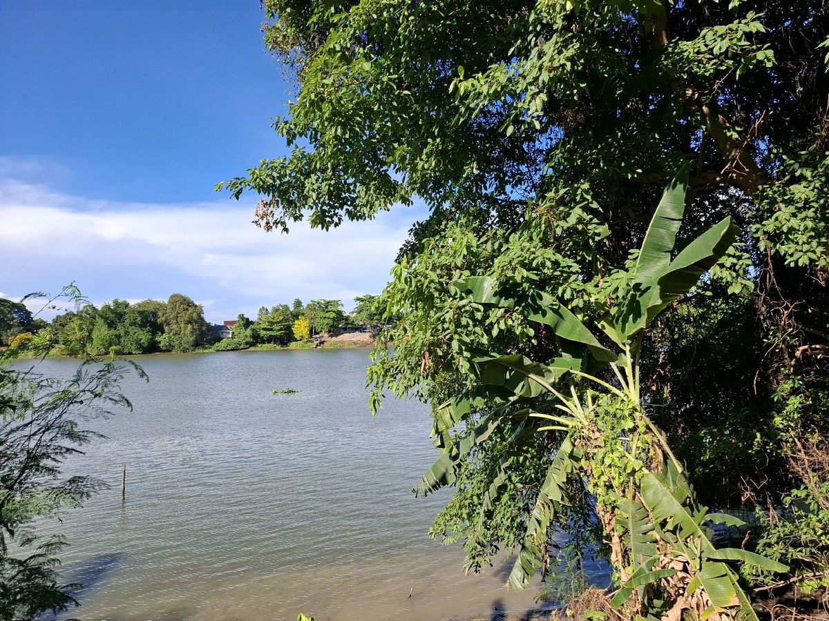 ขายที่ดินราชบุรี : ที่ดินริมแม่น้ำแม่กลอง ราชบุรี ราคาเบาๆ 7 ล้าน หน้าติดถนน หลังติดน้ำ ข้างลำคลอง ขนาด 353 ตรว