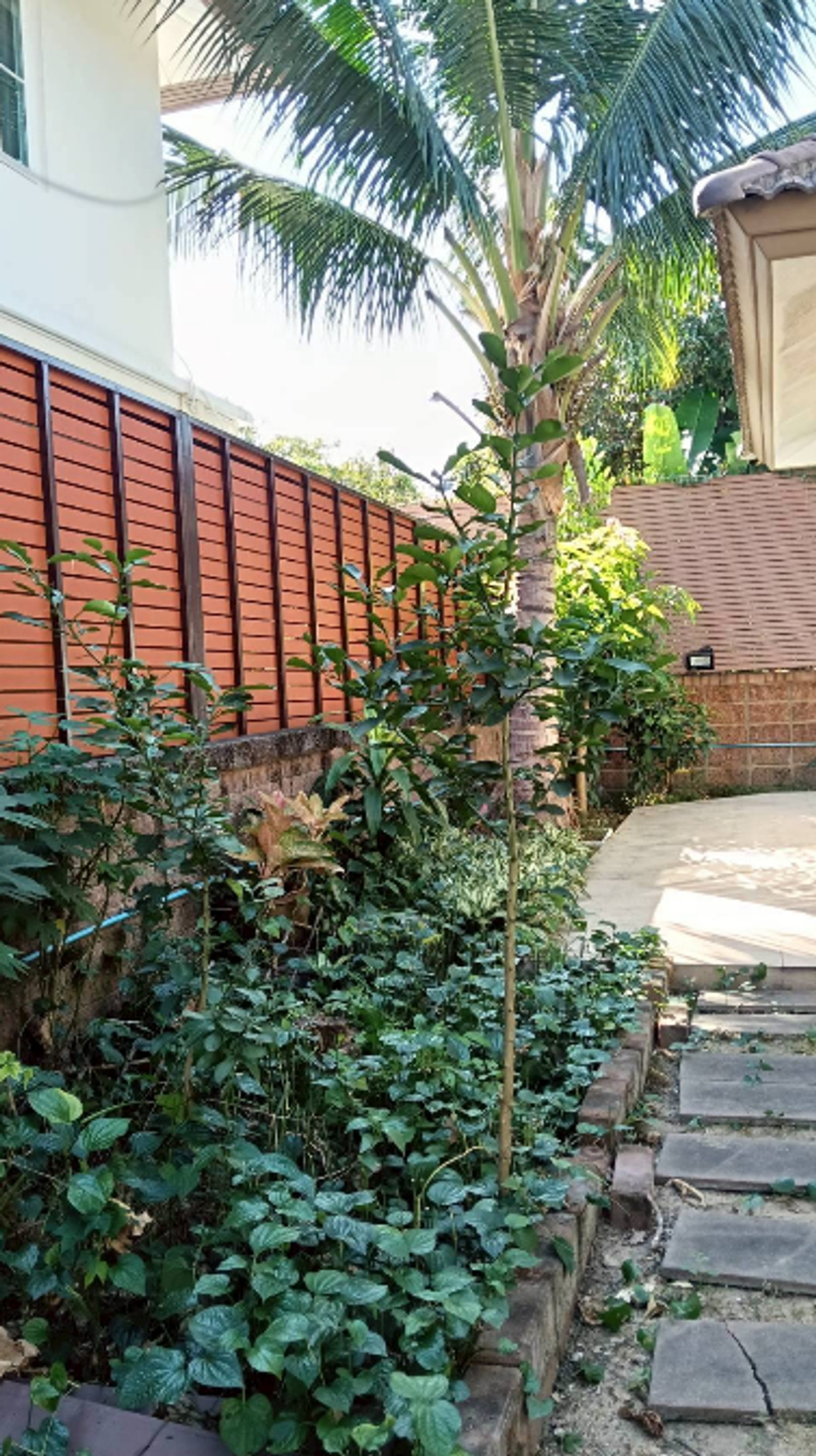 ให้เช่าบ้านปิ่นเกล้า จรัญสนิทวงศ์ : บ้านลัดดารมย์ ราชพฤกษ์ ปิ่นเกล้า ซ.ราชพฤกษ์ 25 ตลิ่งชัน 4 Bed 4 Bath 15 ลบ. Eng 中 日 Please add LINE ID @806qphgn o8415o5483