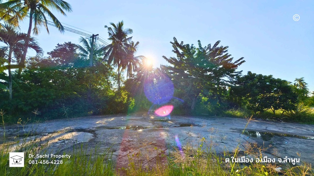 For SaleLandLamphun : Land for sale, Lamphun city, 5-0-79.4 rai, near Nong Dok fresh market, Queen Chamadevi Monument