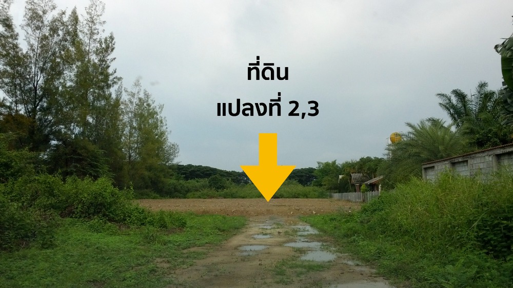 ขายที่ดินเชียงใหม่ : ขายที่ดิน 2-2-63 ไร่ หางดง เชียงใหม่ บ้านน้ำแพร่ ติดถนนสองด้าน เหมาะสร้างบ้าน โรงแรม